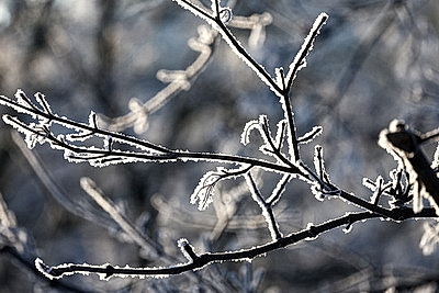 Солнечный январский день в Минске