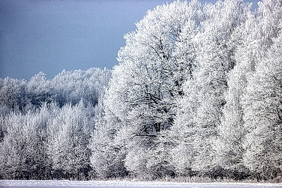 Ночью до -25..-30°С ожидается в Беларуси 15 января