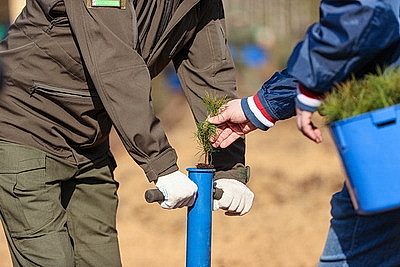 Навести порядок в общем доме. Вольфович об акции \"Лес! Дабро! Парадак!\"