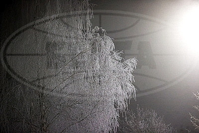 ФОТОХРОНИКА начинает новый информационный день