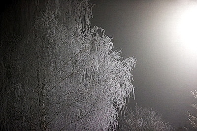 ФОТОХРОНИКА начинает новый информационный день