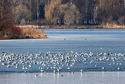 ФОТОХРОНИКА начинает новый информационный день