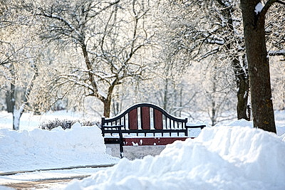 Солнечный январский день в Минске