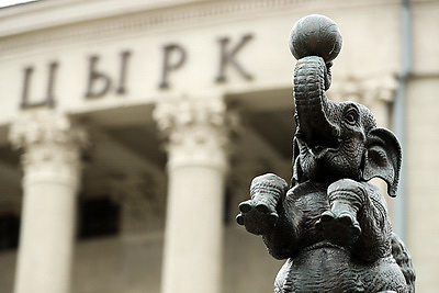 Закулисье Белгосцирка