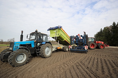 Аграрии Брестской области продолжают сев ранних яровых зерновых и зернобобовых культур