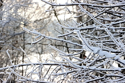 Ночью до -25..-30°С ожидается в Беларуси 15 января