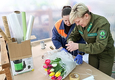 Тюльпаны продолжают расти даже в вазе. В Гомельском опытном лесхозе рассказали об особенностях букетов