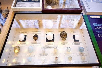 В Минске проходит торжественное мероприятие по случаю 30-летия спецфондов Президента