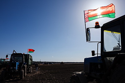 В Минской области весенний сев начали с ярового ячменя