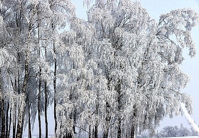 Ночью до -25..-30°С ожидается в Беларуси 15 января