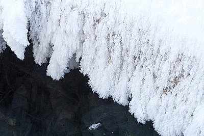 ФОТОХРОНИКА начинает новый информационный день