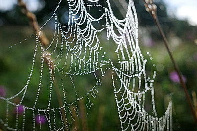 ФОТОХРОНИКА начинает новый информационный день