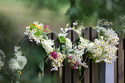 Цветочные венки, народные песни и танцы. Один из самых летних праздников - Купалье прошел на Августовском канале