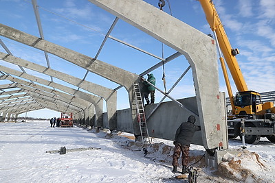 В Гомельской области возводят самый крупный в Беларуси свиноводческий комплекс