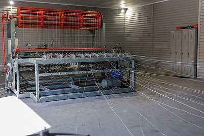 Что делают в Минской области для снижения количества ДТП с дикими животными