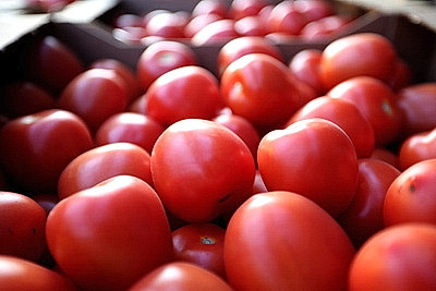 Урожай свежих огурцов, помидоров, салата, зелени собирают в Полоцком районе