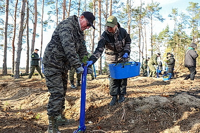 К акции \"Дай лесу новае жыццё!\" присоединились представители Брестского облисполкома