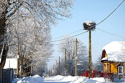 \"Давно таких зим не было\". Как в Бобруйском районе работают автолавки на селе