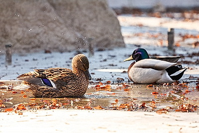 Солнечный весенний день в Минске