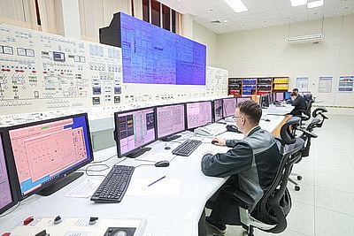 Представители агентств ООН в Беларуси посетили социальные объекты Островца и БелАЭС