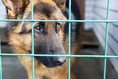 Новый комплекс пограничной заставы \"Мокраны\" открыли в Малоритском районе
