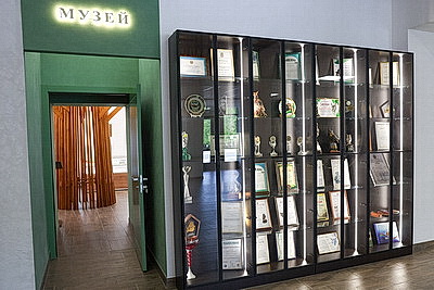 От экомаршрутов до лесного зоопарка. Чем Березинский заповедник привлекает 100 тыс. туристов в год