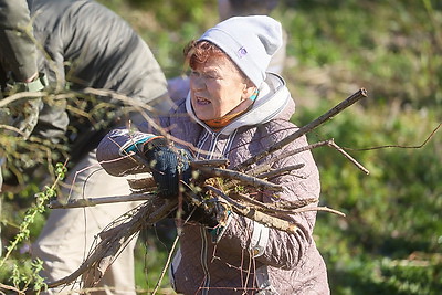 Республиканский субботник: брестчане трудились на территории Брестской крепости