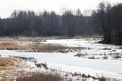Ждать ли большой воды этой весной: МЧС о паводковой ситуации
