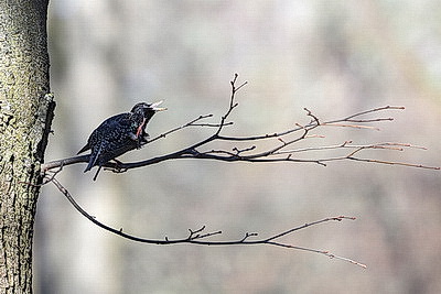 Солнечный весенний день в Минске