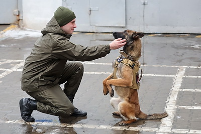 Здесь человек и собака понимают друг друга \"с первого взгляда\". Как несут службу кинологи в Бобруйском отделе Департамента охраны