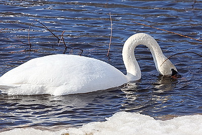 ФОТОХРОНИКА начинает новый информационный день