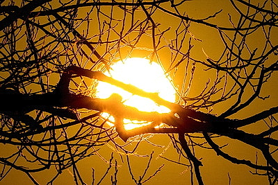 Зимний пейзаж