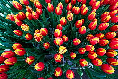 ФОТОХРОНИКА начинает новый информационный день