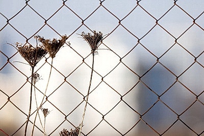 Первый весенний день