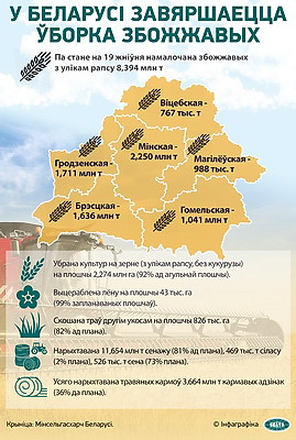 Инфографика. В Беларуси завершается уборка зерновых