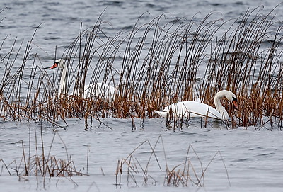 ФОТОХРОНИКА начинает новый информационный день