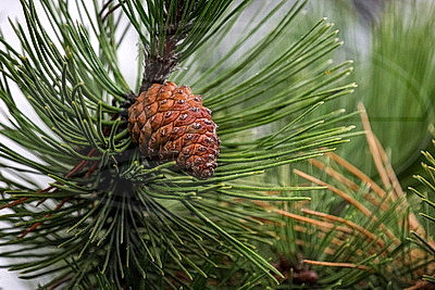 ФОТОХРОНИКА начинает новый информационный день