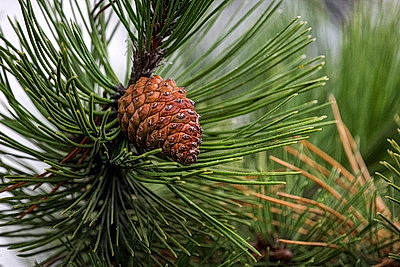 ФОТОХРОНИКА начинает новый информационный день