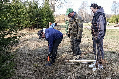 Республиканский субботник: коллектив Администрации Президента принял участие в благоустройстве мемориального комплекса и посадке леса