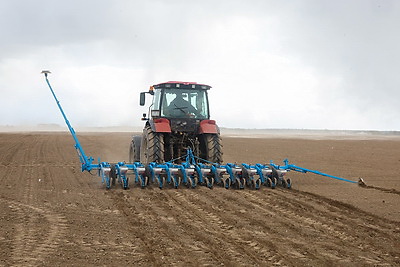 \"Погода испытывает на прочность, но мы не пасуем\". В Быховском районе активно сеют кукурузу на зерно