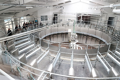 Новую ферму на тысячу голов дойного стада открыли в Ветковском районе