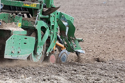 В Могилевском районе стартовал сев селекционных образцов льна-долгунца