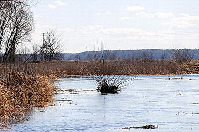 Ждать ли большой воды этой весной: МЧС о паводковой ситуации