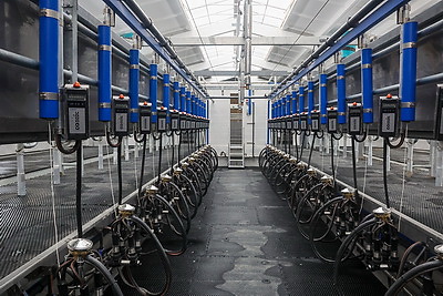 Сильная экономика, обороноспособность. На БЦЗ состоялась встреча с главой Минстройархитектуры