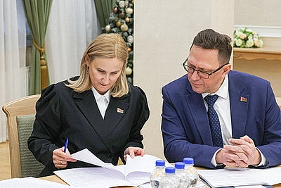 Изменения в закон о гражданстве рассмотрели на экспертном совете при Совете Республики