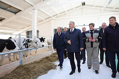 Новый молочно-товарный комплекс более чем на 1330 голов КРС открыли в Калинковичском районе