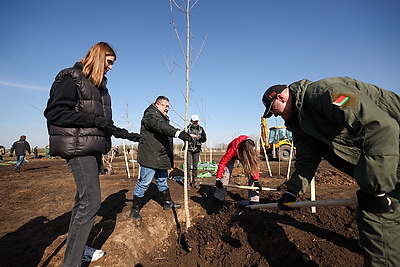 Республиканский субботник: депутаты Палаты представителей благоустроили столичный парк