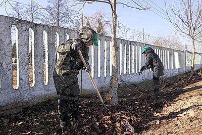 Акция \"Лес! Дабро! Парадак!\" стартовала в Беларуси