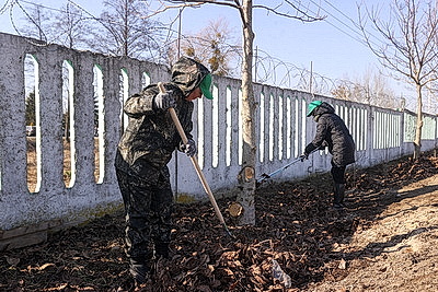 Акция \"Лес! Дабро! Парадак!\" стартовала в Беларуси