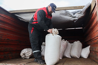 В Лунинецком районе завершили сев зерновых и приступили к травам
